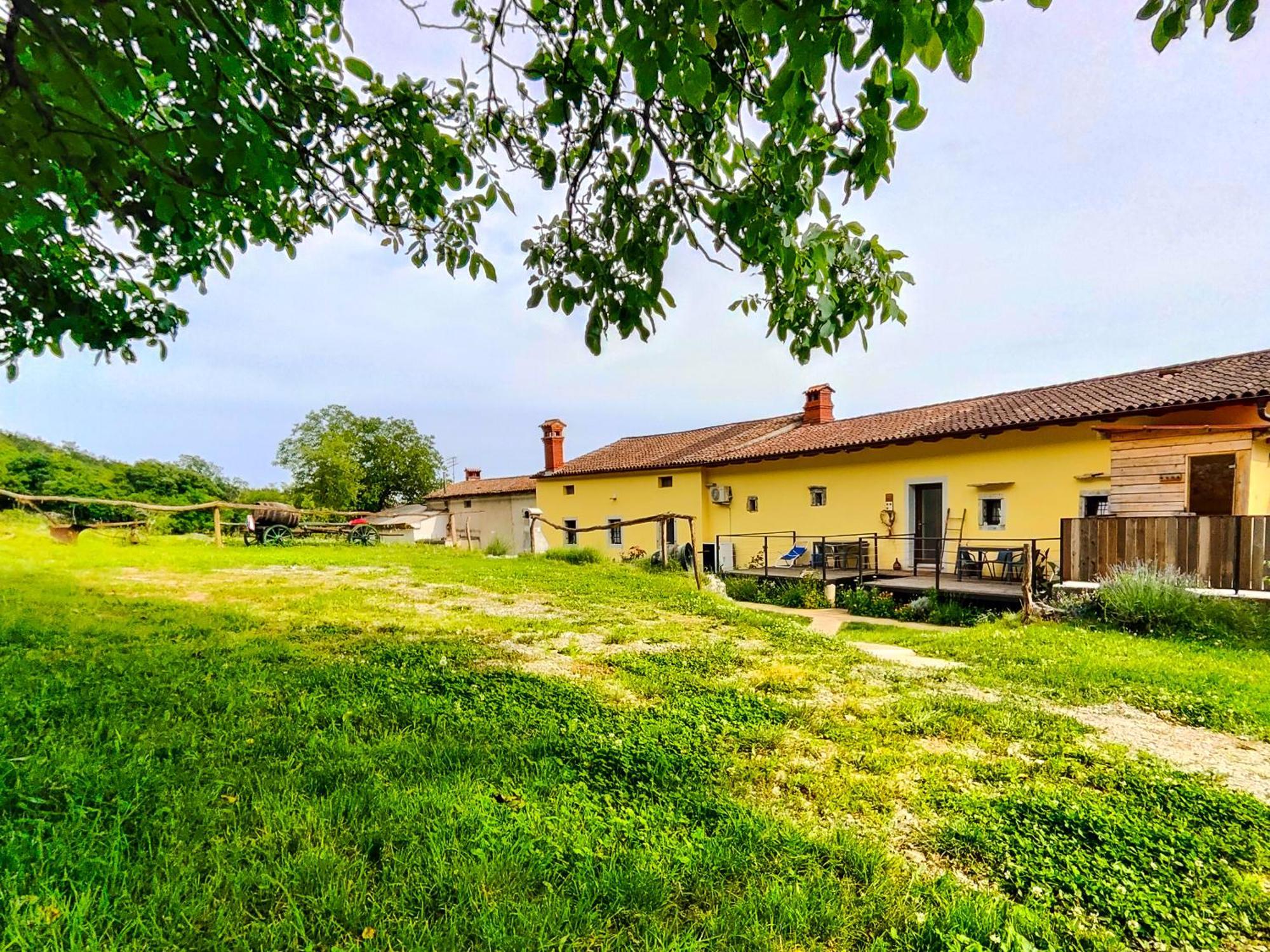 Homestead Zavadlal - Domacija Zavadlal Komen Eksteriør bilde